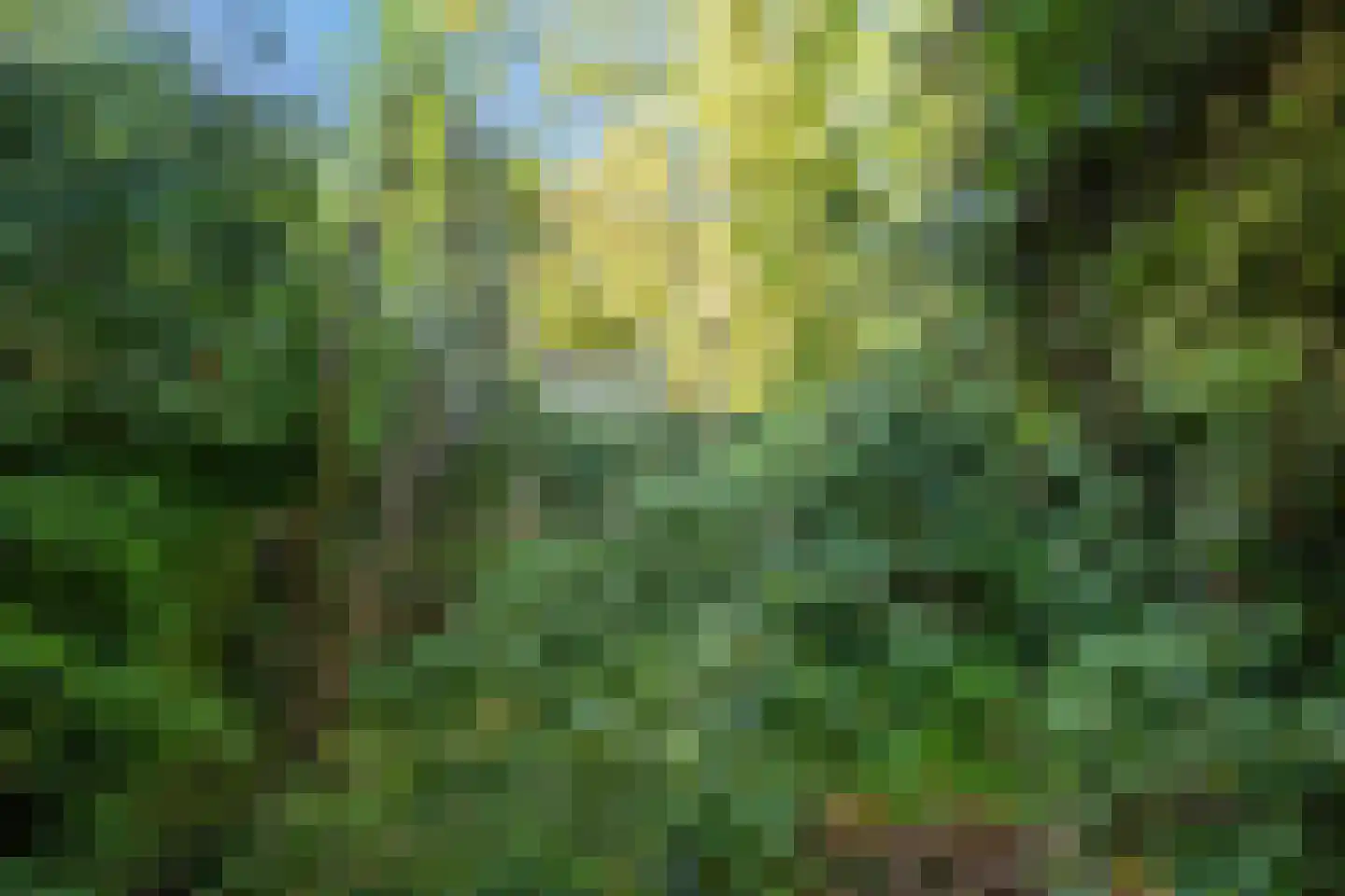 Herik 45 Huizen thumbnail 35
