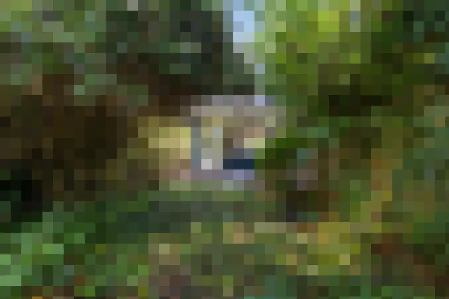 Herik 45 Huizen thumbnail 4