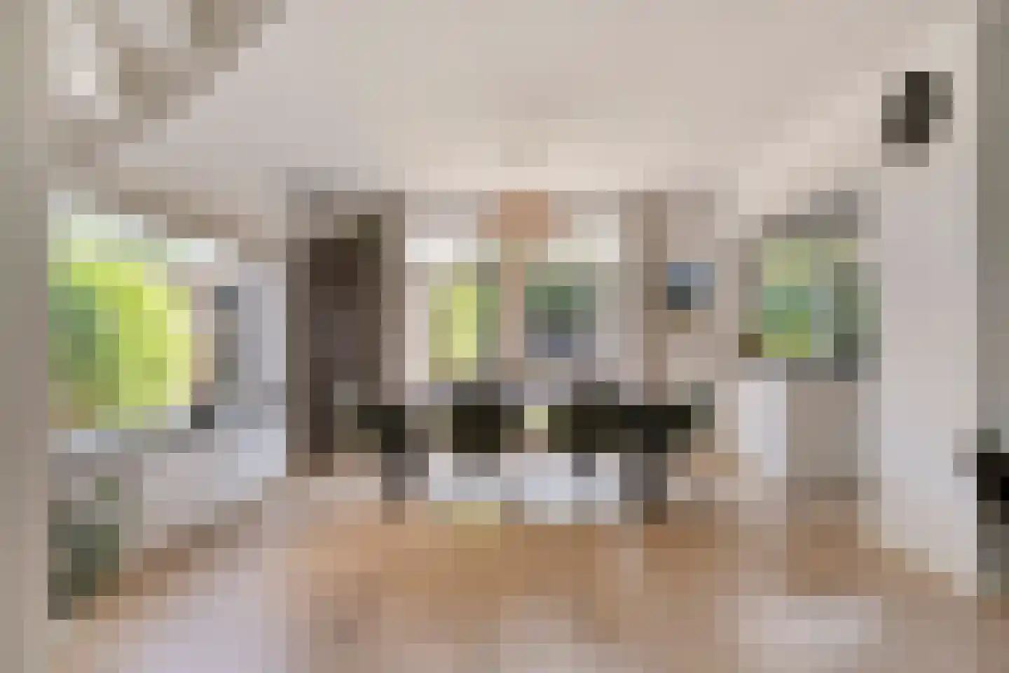 Herikaard 17 Teteringen thumbnail 10