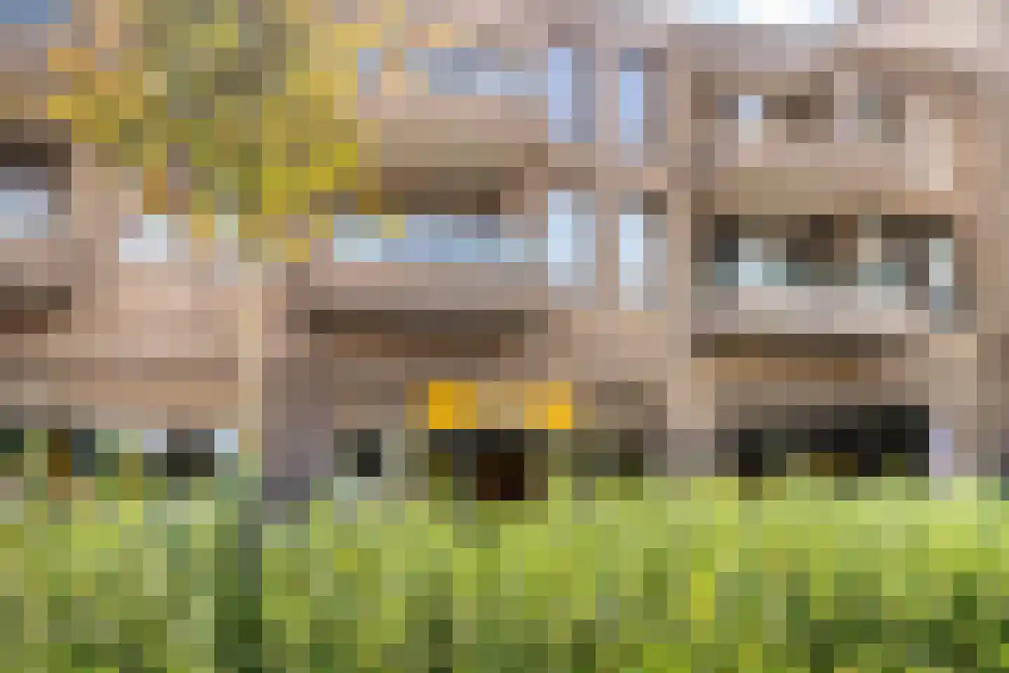 Herikaard 17 Teteringen thumbnail 44