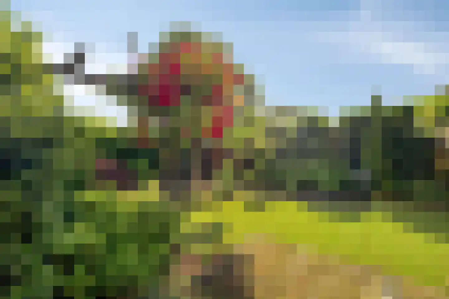 Herikaard 5 Teteringen thumbnail 22