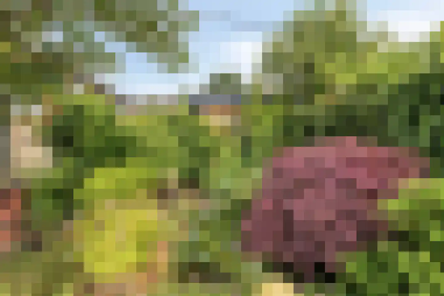 Herikaard 5 Teteringen thumbnail 23