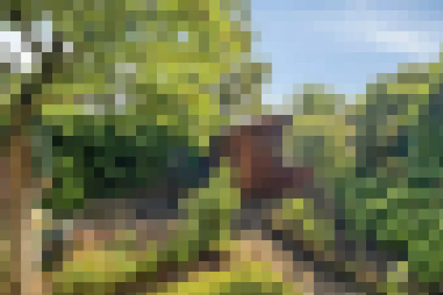 Herikaard 5 Teteringen thumbnail 25
