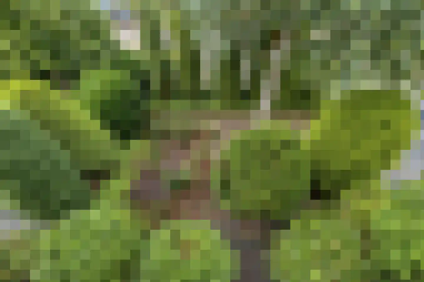 Herikaard 5 Teteringen thumbnail 26