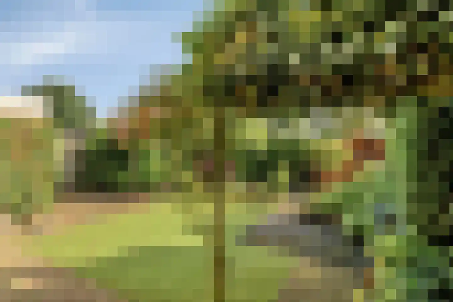 Herikaard 5 Teteringen thumbnail 27