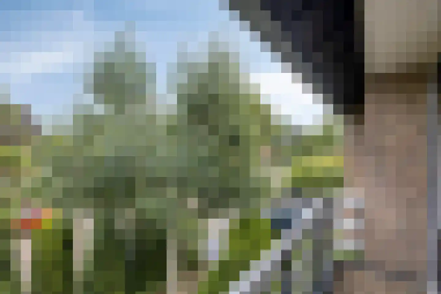 Herikaard 5 Teteringen thumbnail 33