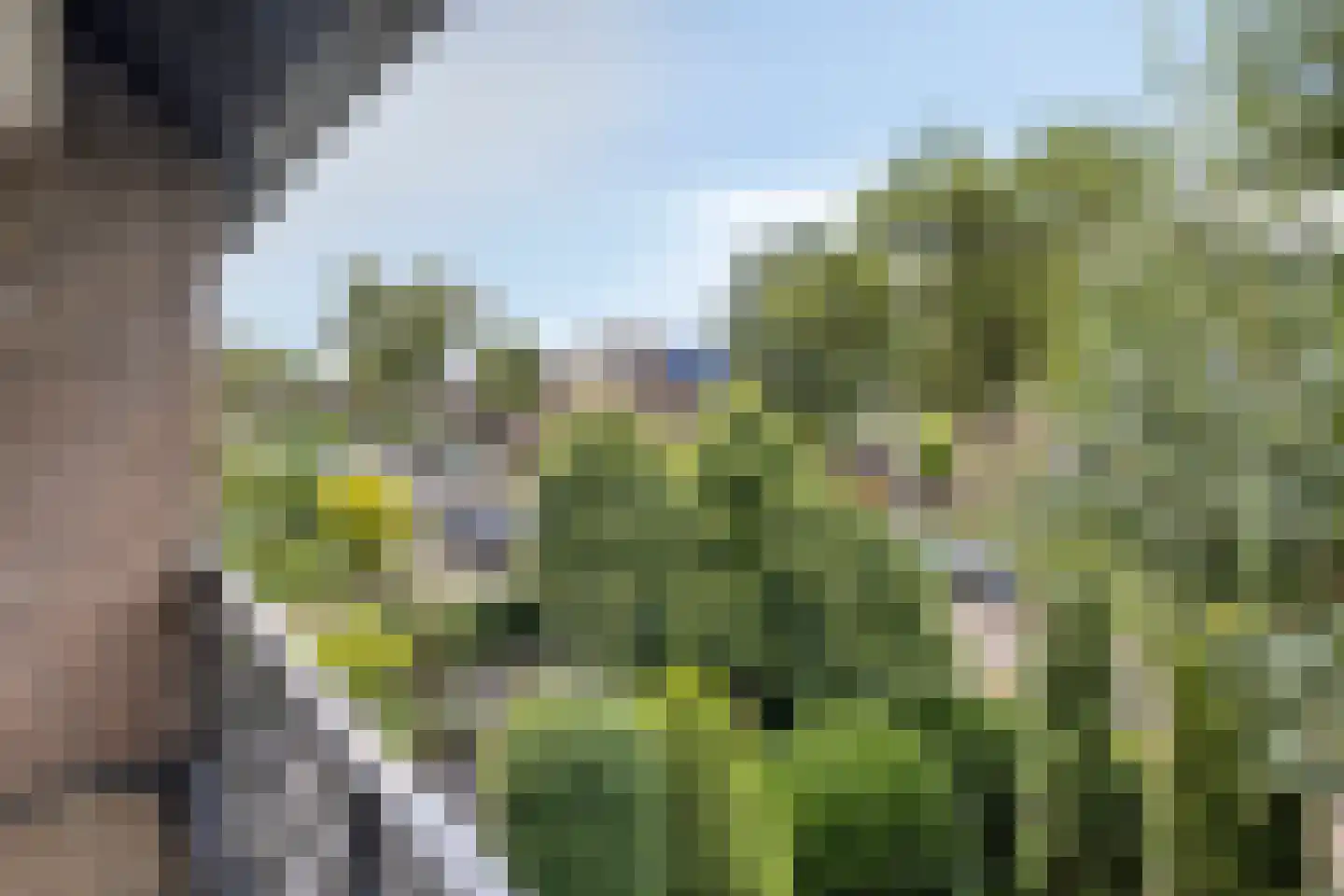 Herikaard 5 Teteringen thumbnail 34