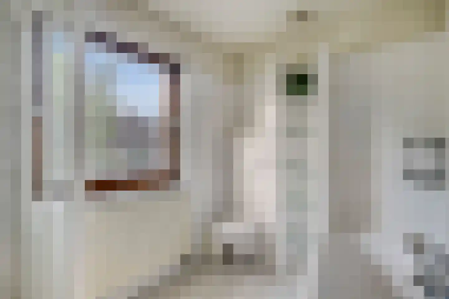 Herikaard 5 Teteringen thumbnail 39
