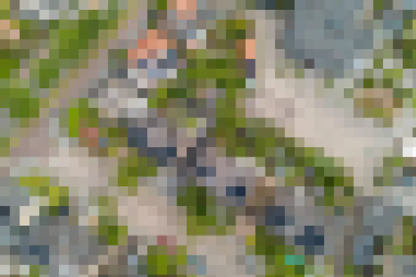Herikaard 5 Teteringen thumbnail 46