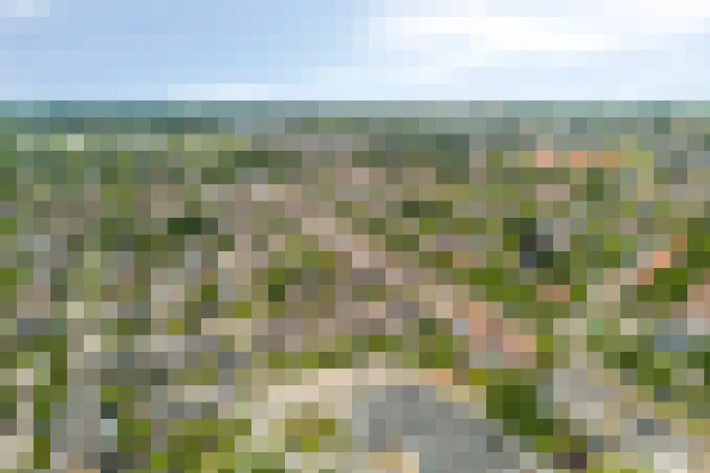Herikaard 5 Teteringen thumbnail 48
