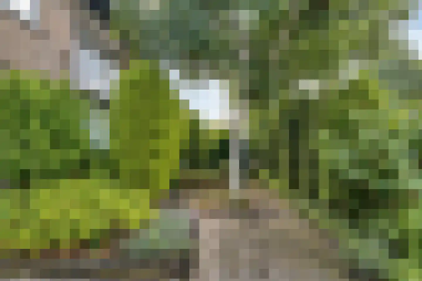 Herikaard 5 Teteringen thumbnail 5