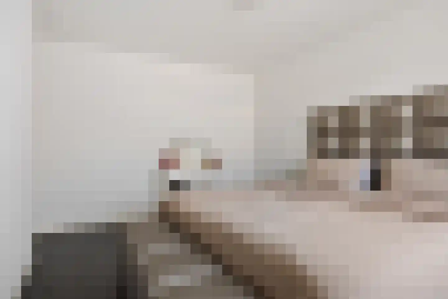 Herikebrink 1 Enschede thumbnail 26