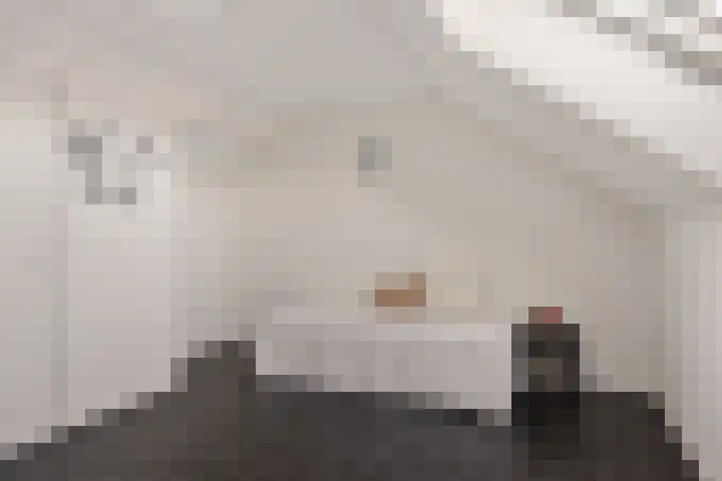 Herikebrink 1 Enschede thumbnail 39