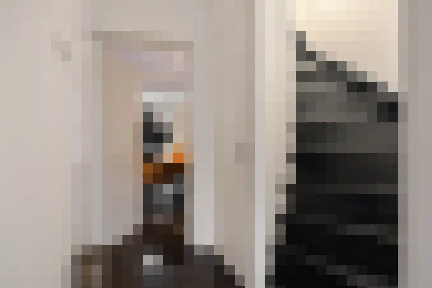 Herikebrink 1 Enschede thumbnail 7