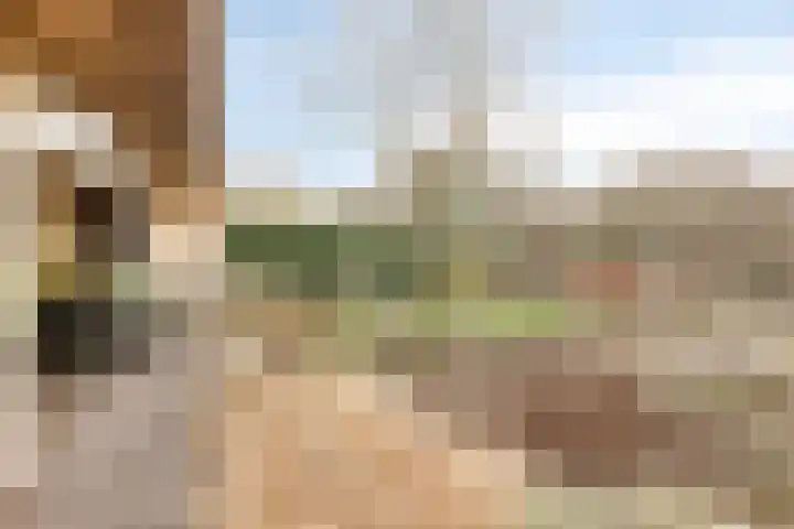 Herikebrink 59 Enschede thumbnail 34