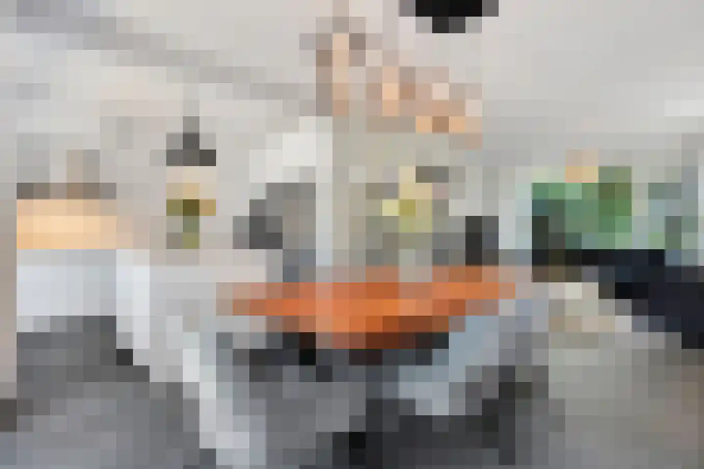 Herikebrink 63 Enschede thumbnail 15