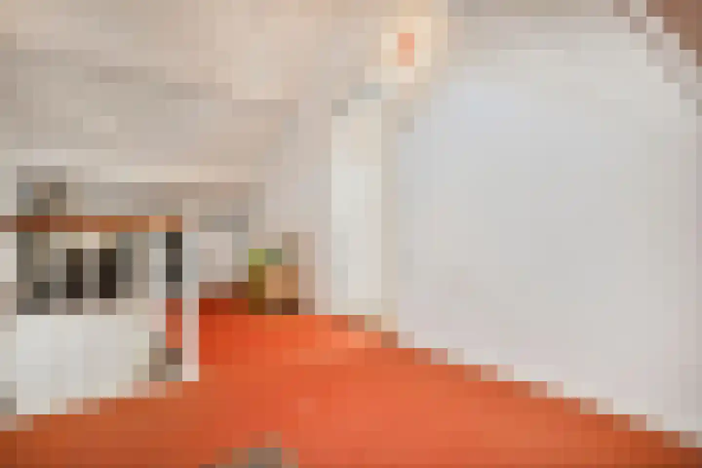 Herikebrink 63 Enschede thumbnail 34