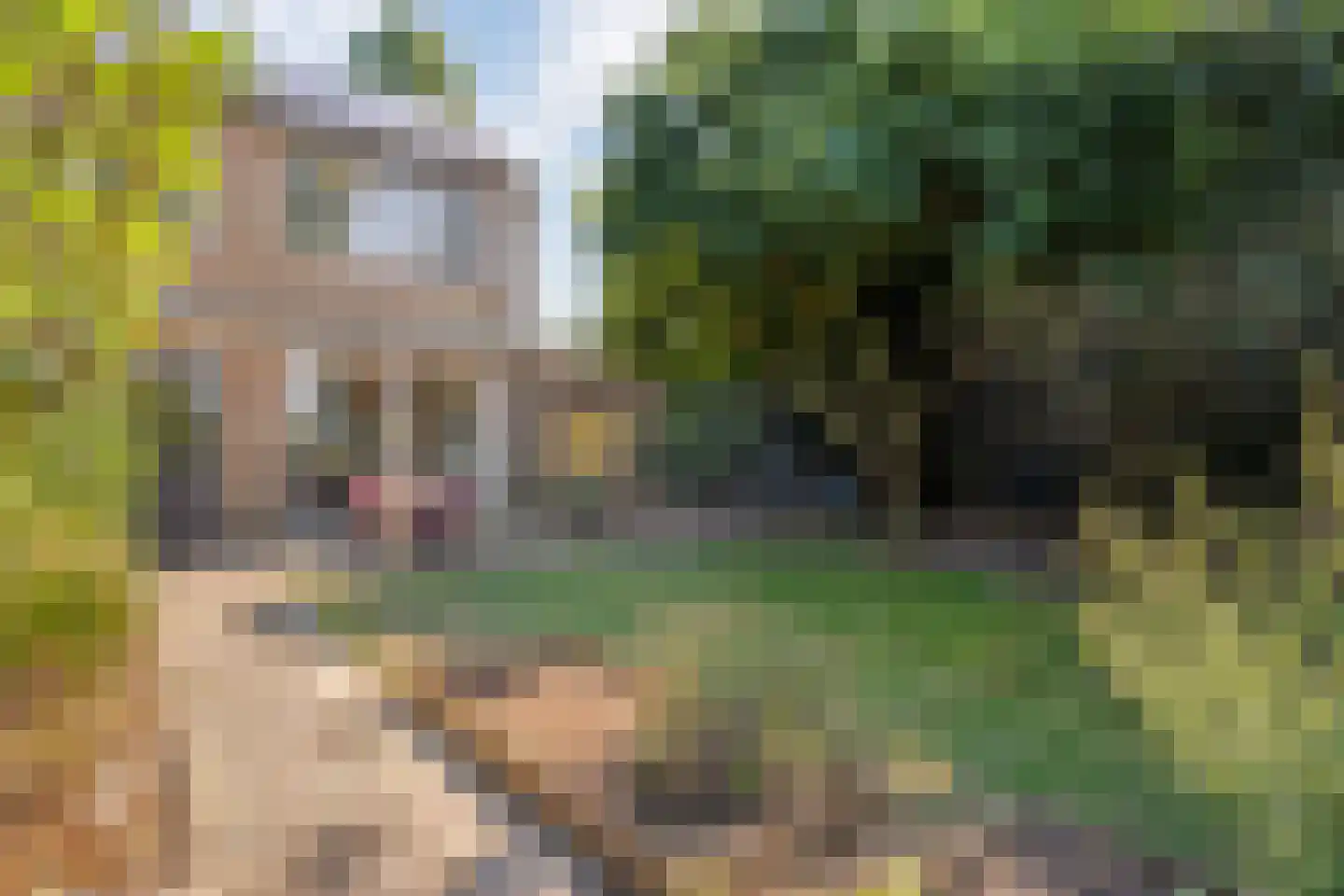 Herikebrink 63 Enschede thumbnail 37