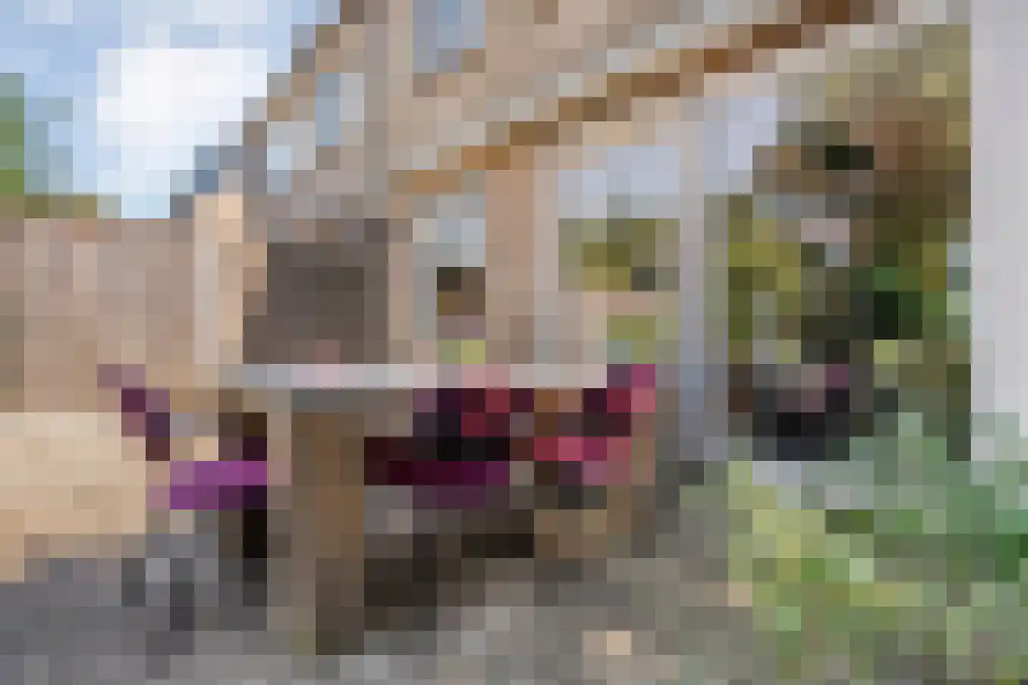 Herikebrink 63 Enschede thumbnail 40