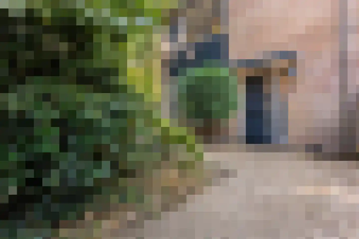 Herikebrink 63 Enschede thumbnail 5