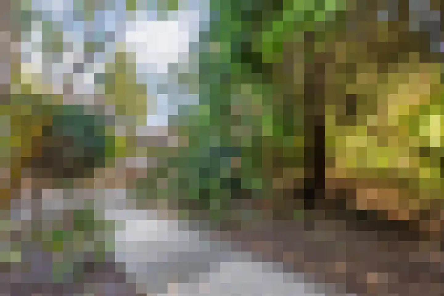 Herikebrink 63 Enschede thumbnail 6
