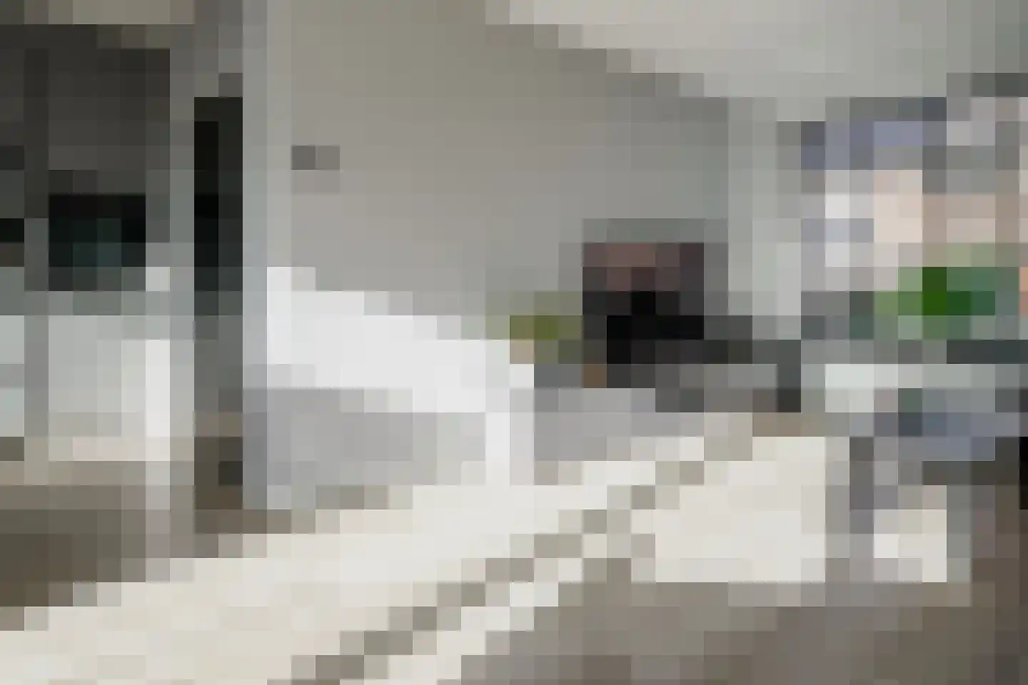 Herikebrink 79 Enschede thumbnail 11