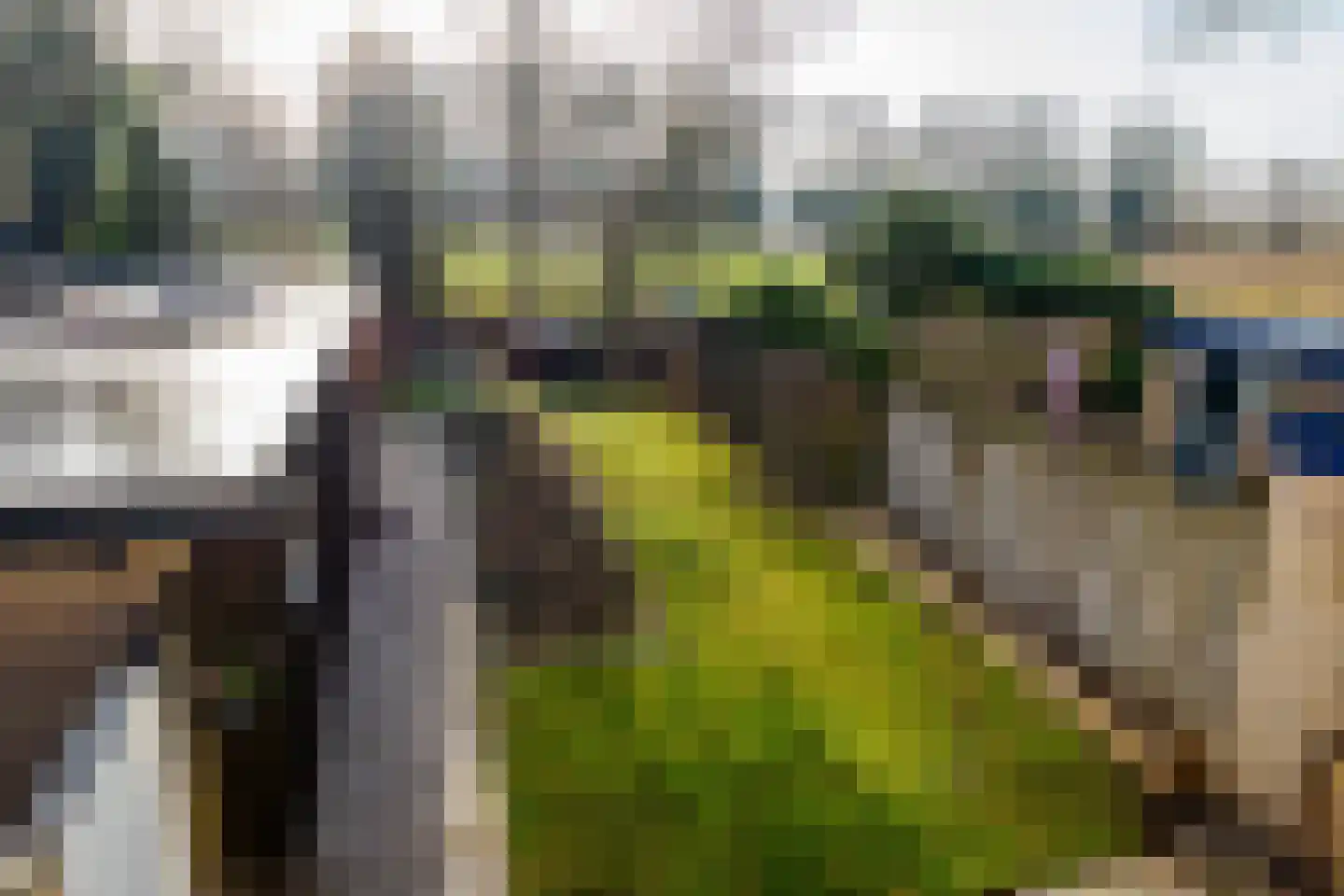 Herikebrink 79 Enschede thumbnail 34