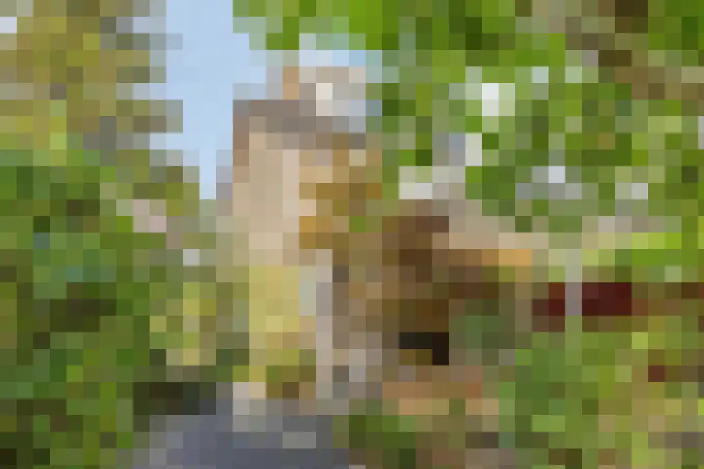 Herikerberg 1 Zoetermeer thumbnail 27