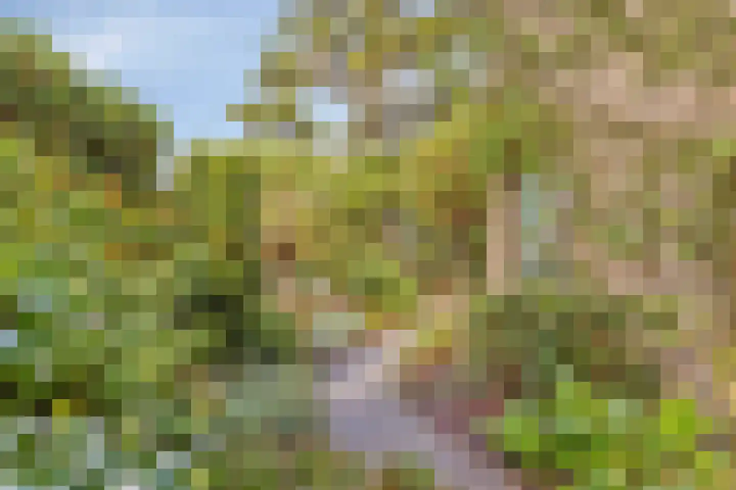 Herikerberg 1 Zoetermeer thumbnail 29