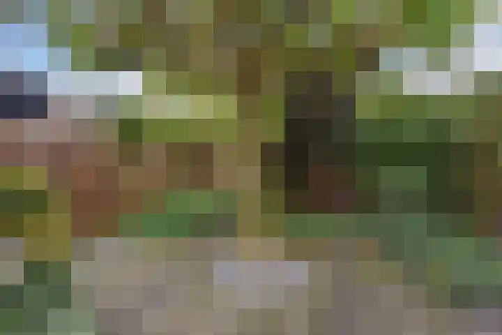 Herikerberg 1 Zoetermeer thumbnail 42