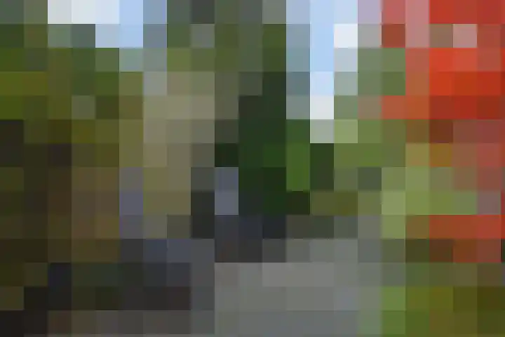 Herikerberg 1 Zoetermeer thumbnail 44