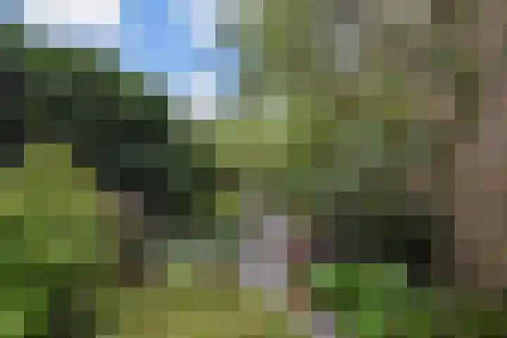 Herikerberg 1 Zoetermeer thumbnail 45