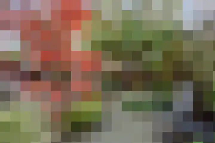 Herikerberg 1 Zoetermeer thumbnail 46