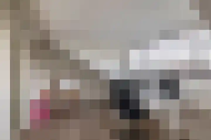 Herikerberg 32 Zoetermeer thumbnail 38