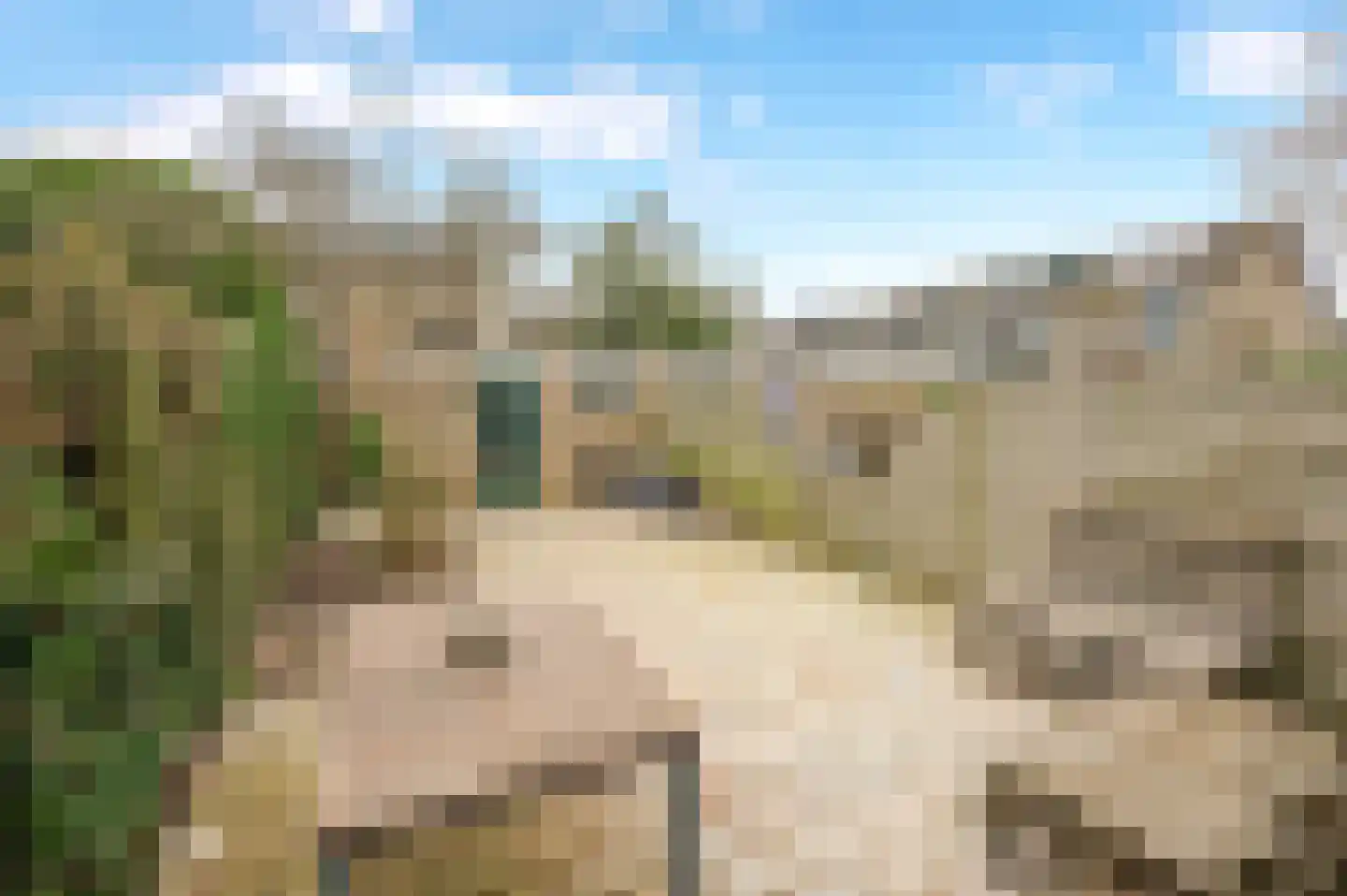 Herikerberg 33 Zoetermeer thumbnail 18