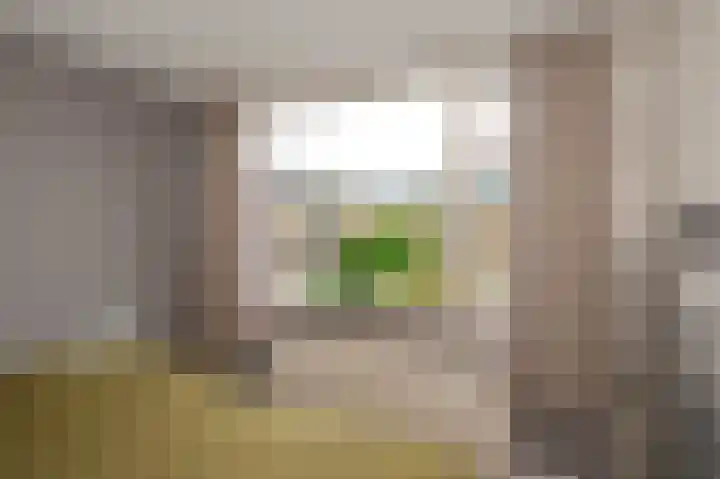 Herikerberg 33 Zoetermeer thumbnail 31