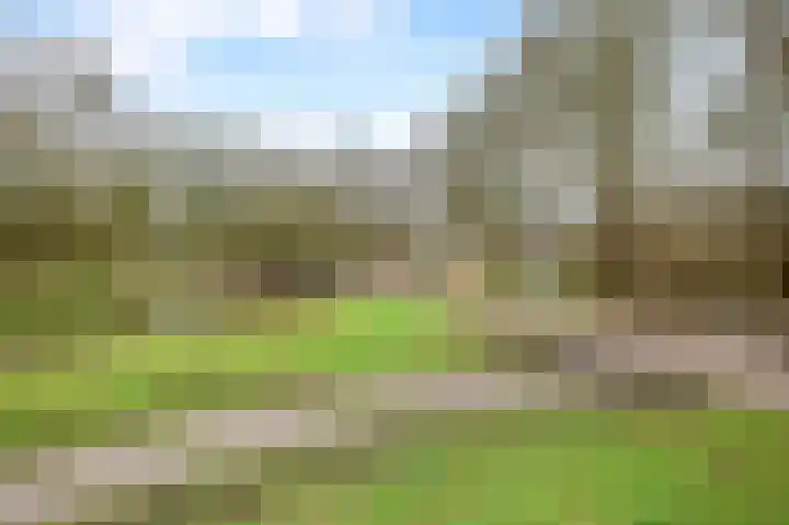 Herikerberg 33 Zoetermeer thumbnail 49