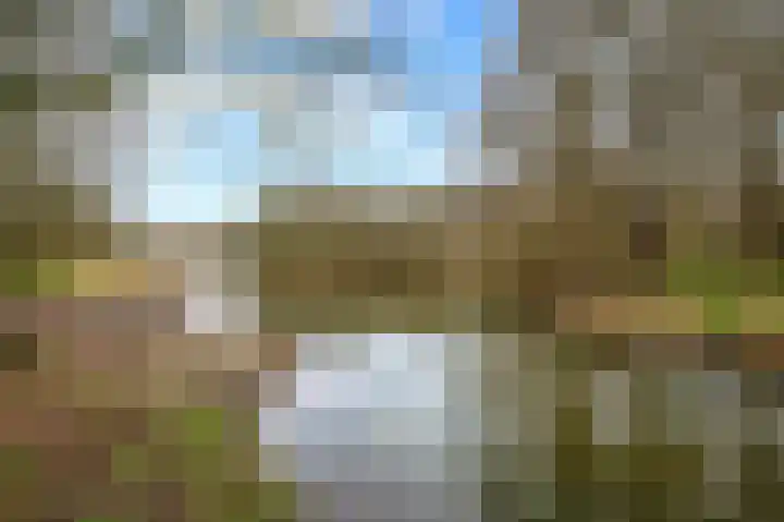 Herikerberg 33 Zoetermeer thumbnail 52