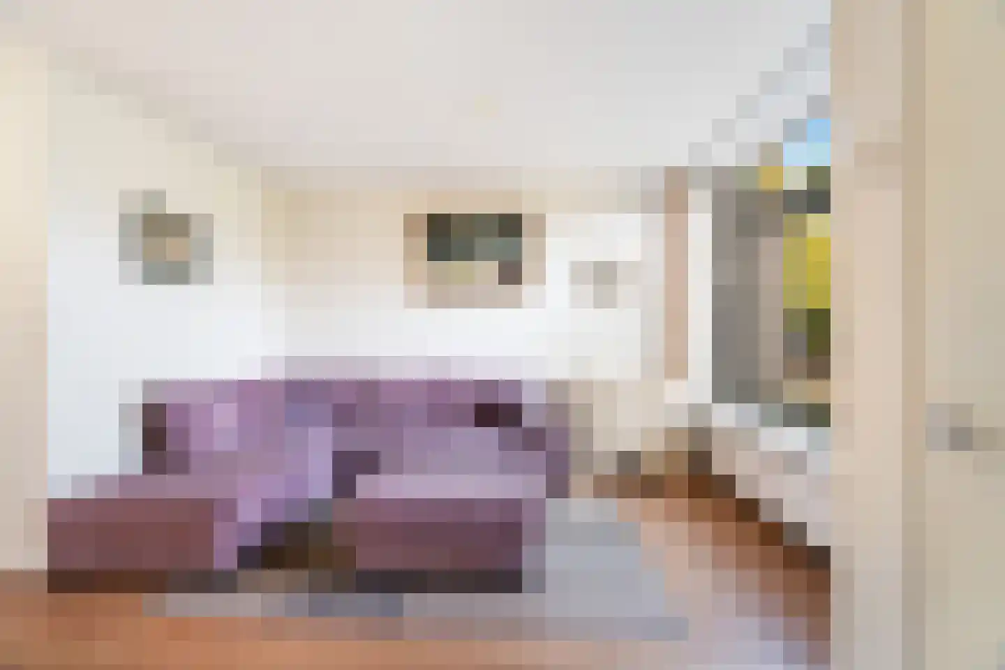 Herikerberg 35 Zoetermeer thumbnail 10