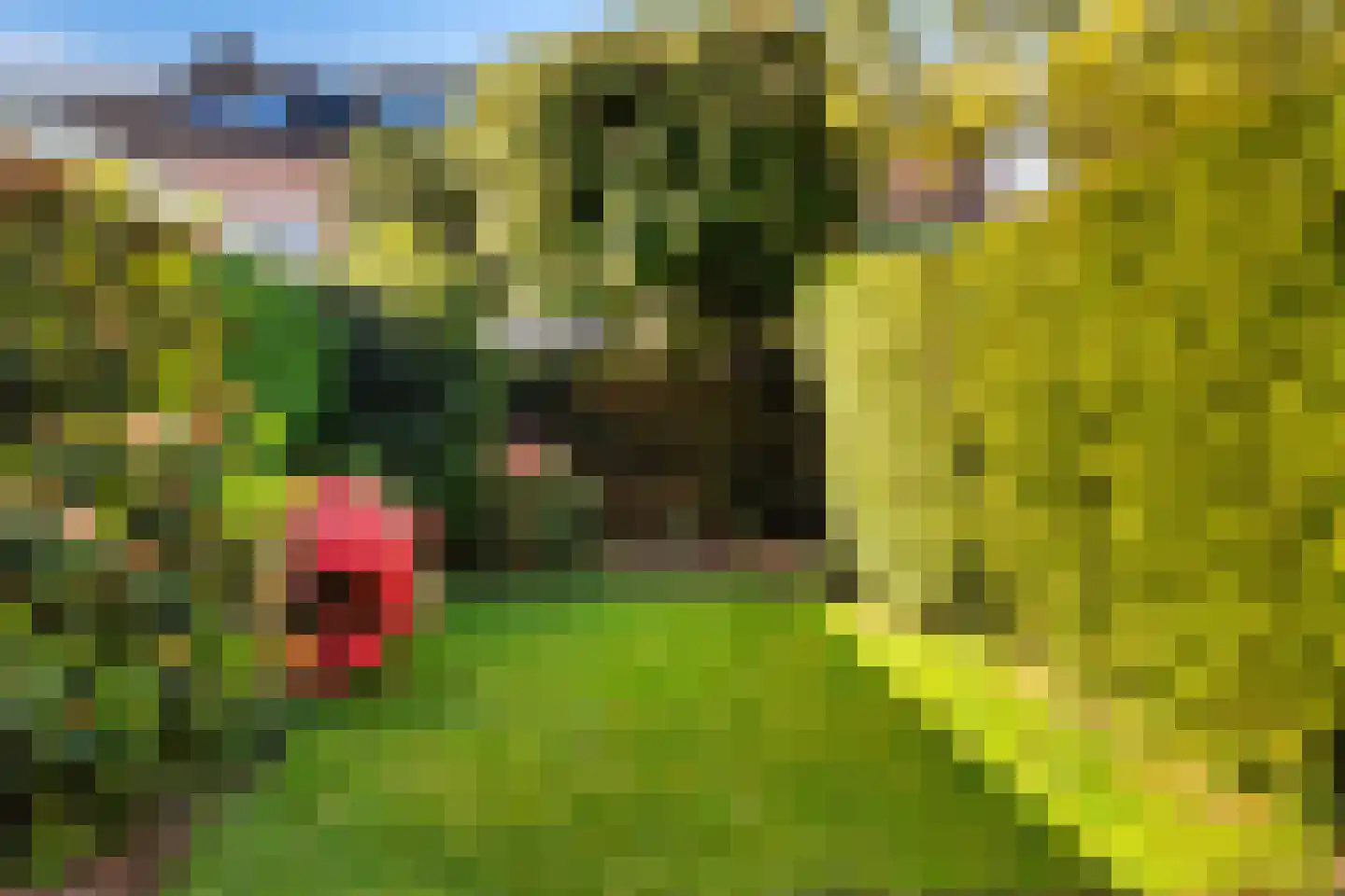 Herikerberg 35 Zoetermeer thumbnail 19