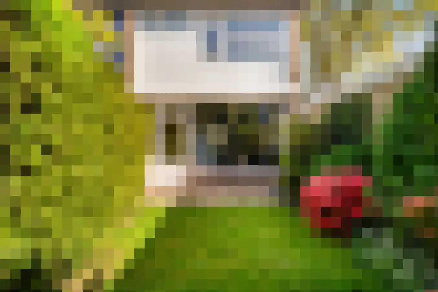 Herikerberg 35 Zoetermeer thumbnail 4