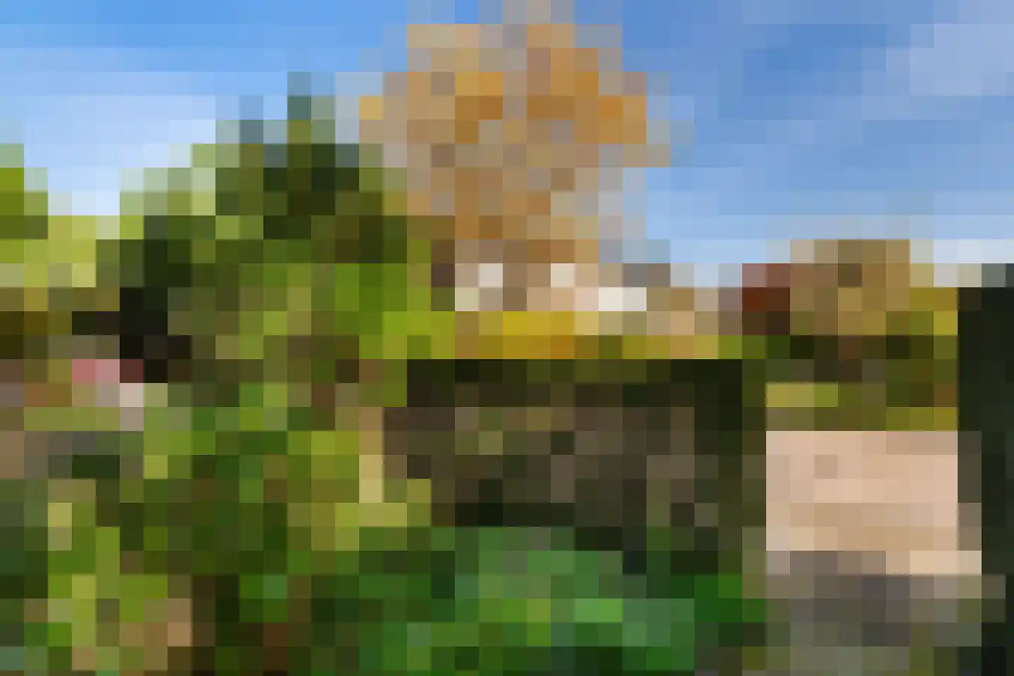 Herikerberg 35 Zoetermeer thumbnail 56