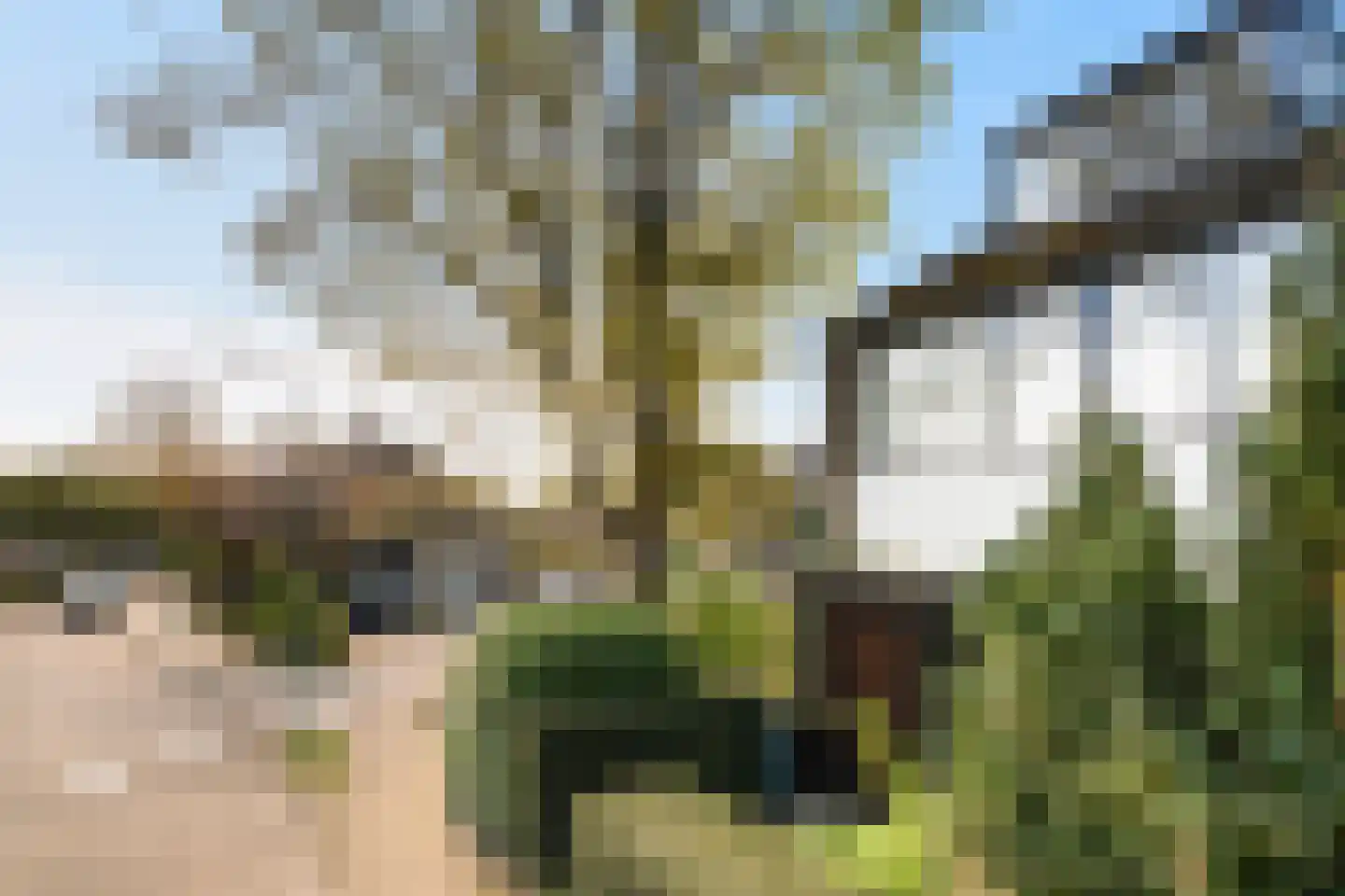 Herikerberg 35 Zoetermeer thumbnail 58