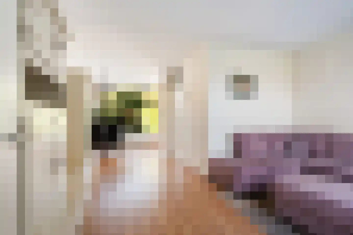Herikerberg 35 Zoetermeer thumbnail 9