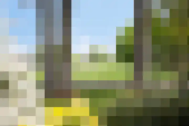 Herikeresweg 6 Markelo foto 2