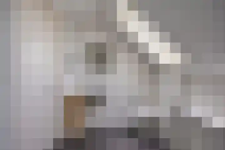 Herikeresweg 6 Markelo thumbnail 23