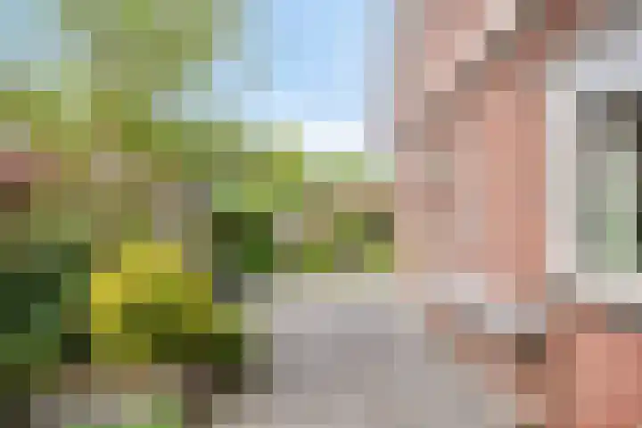 Herikeresweg 6 Markelo thumbnail 27