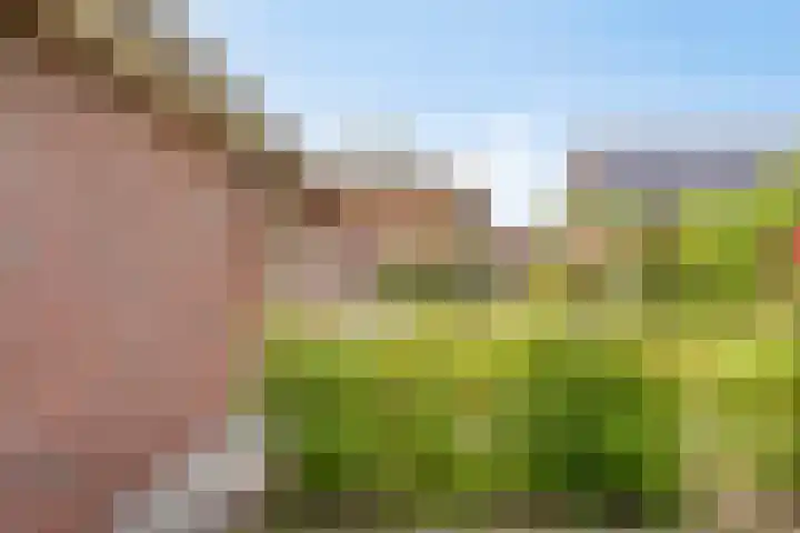 Herikeresweg 6 Markelo thumbnail 29