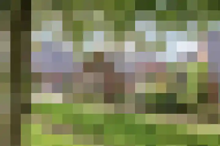 Herikeresweg 6 Markelo foto 3