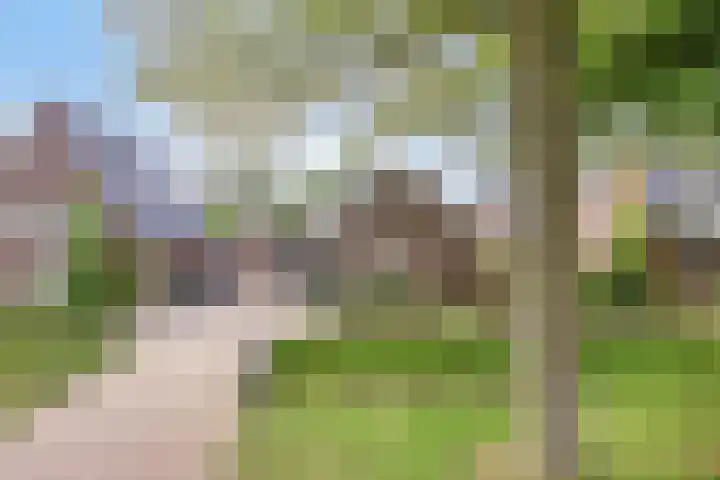 Herikeresweg 6 Markelo thumbnail 32